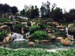 -秀丽东方
