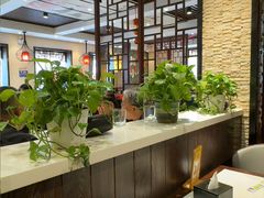 -新侨小馆(东直门北小街店)