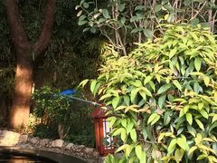 -金穗园温泉酒店