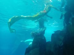 -福州罗源湾海洋世界旅游区