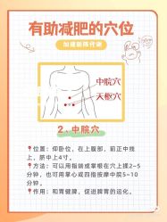 -香薇妮丝女子减肥院