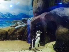 -厦门海底世界