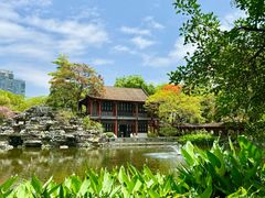 -顺峰山公园
