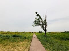 -亿利库布其七星湖沙漠生态旅游区