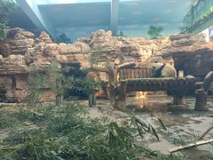 -石家庄市动物园