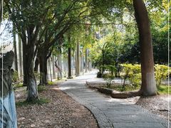 -滴水岩森林公园
