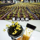 安徽小众旅游攻略｜皖西的一方山水