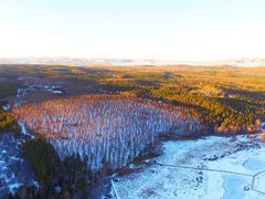 -塞罕坝国家级自然保护区