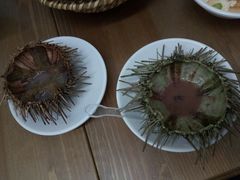 -海胆小馆(东北水饺·春柳店)