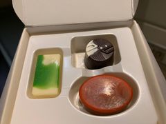 -西贡日航酒店