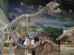 -自贡恐龙博物馆