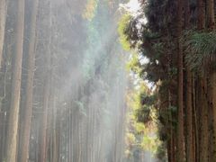 -山王坪喀斯特国家生态公园