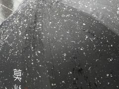 -莫愁村问君老酸奶
