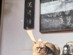 -留荫庐旅馆(南浔古镇百间楼店)