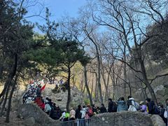 -泰山风景名胜区