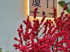 -溪岸路花鸟市场