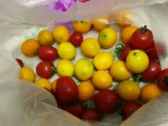 -乐乐鲜果水果超市(河北店)