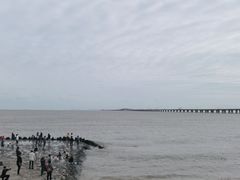 -南汇新城海滩