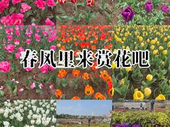 -花博汇(知音花月夜)