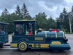 -五营红松林海景区