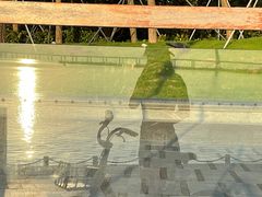 -深圳湾公园(南山区)