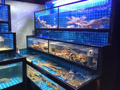 -吉友粥底火锅(方斜路店)