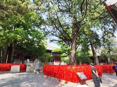 -红螺寺