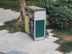 -金山公园