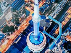 -加拿大国家电视塔