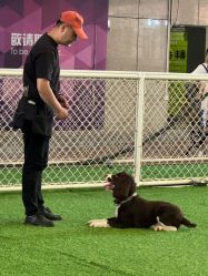 -酷嗒动物文化乐园(cutezoo西溪乐天城店)