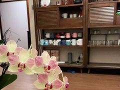 -仰生如卉推拿养生馆(酒仙桥店)
