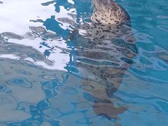 -石家庄极地海洋世界