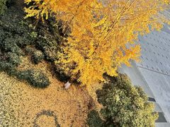 -苏州卫生职业技术学院(石湖校区)