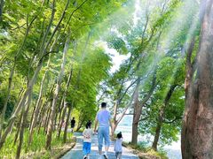 -东湖落雁景区