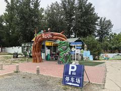 -1982农场