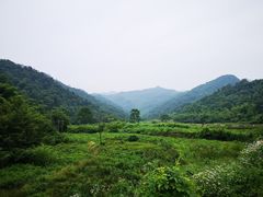 -会稽山峡洞漂流-上青古道