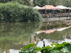 -成都南湖公园