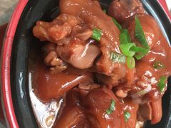 鲍汁猪手煲-大树餐厅(红旗街万达店)
