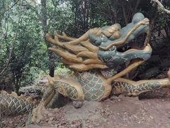 -紫金山山顶公园
