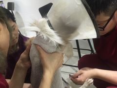 -芭比堂动物医院(广州爱宠下渡路分院)