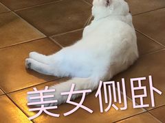 -彳亍咖啡·这里(水湾路店)