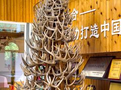 -北京鹿世界主题园