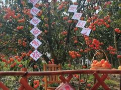 -凤凰山斑鱼馆(恭城店)