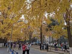 -四川大学(华西校区)