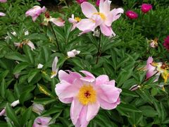 景点-白塘生态植物园