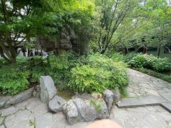 -上海醉白池公园
