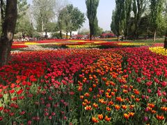 -国家植物园南园