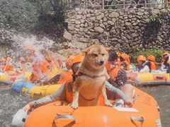 -安吉龙王山峡谷漂流