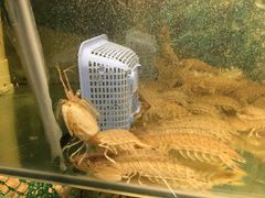 -连家船海鲜大排档·20年闽菜店(厦大店)