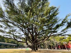-北京市劳动人民文化宫(太庙)